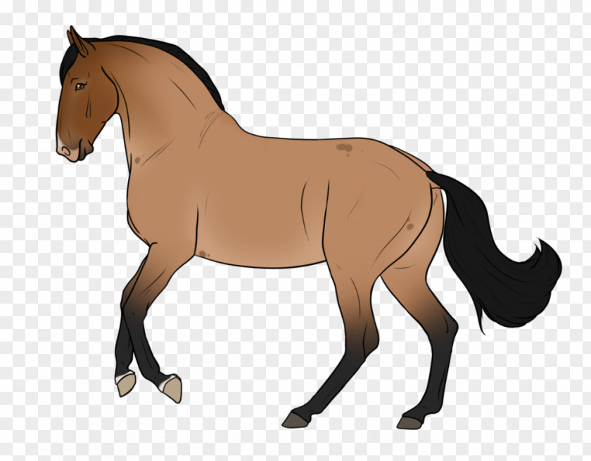 Horse Clip Art Christmas PNG