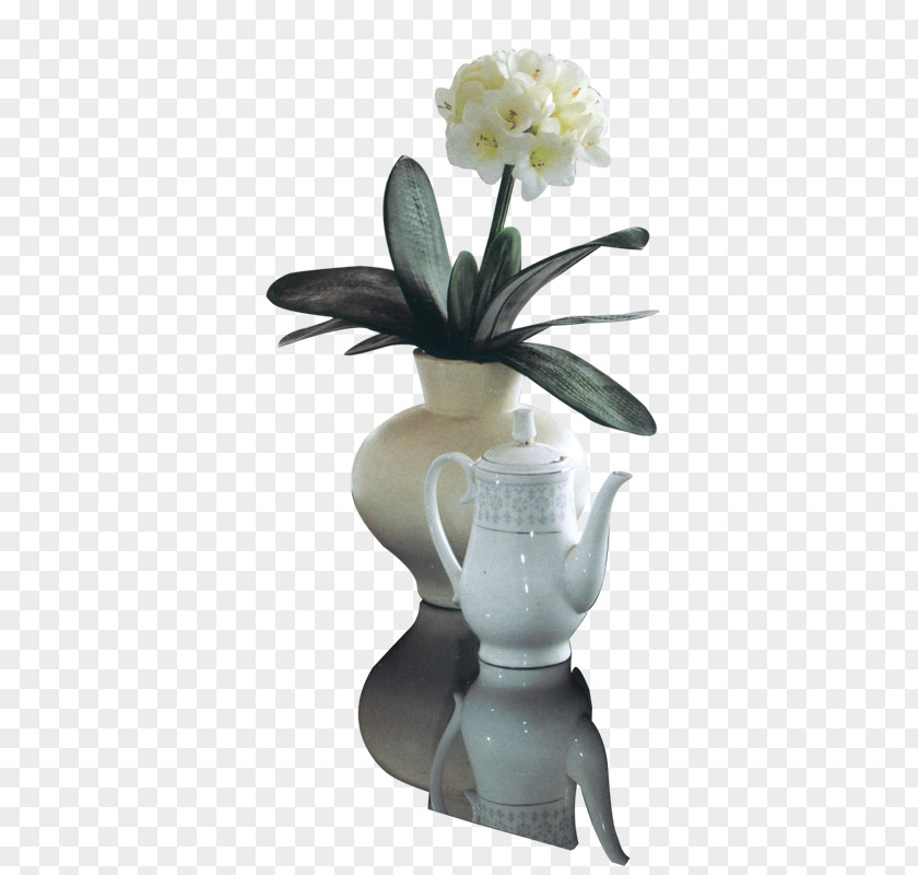 Vase ICO Software PNG