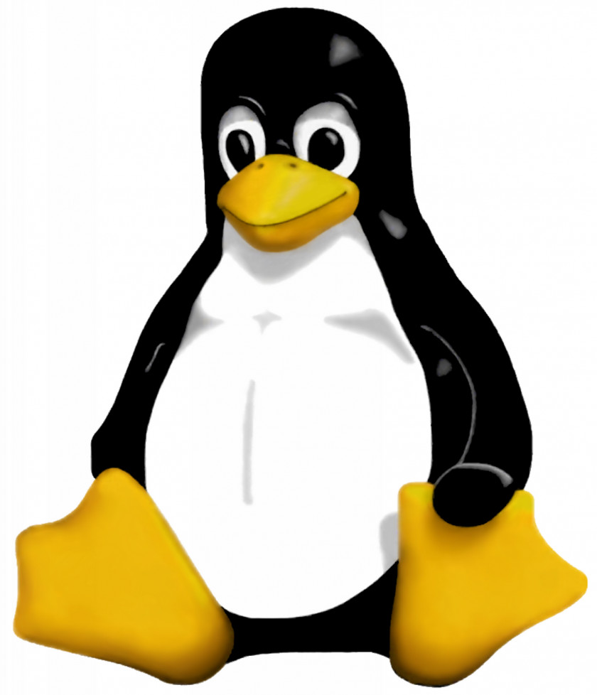 Linux Penguin Tux Operating Systems Computer Software PNG