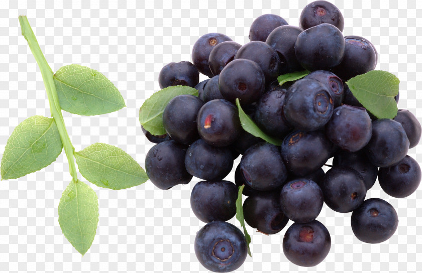 Blueberry European Juice Bilberry Berries PNG
