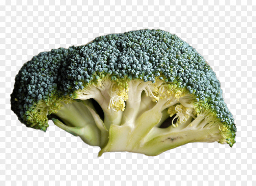 Broccoli Organic Food Raw Foodism Eating PNG