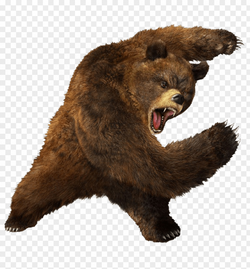 Brown Greezly Bear Image Tekken 5 4 Street Fighter X 3 Tag Tournament 2 PNG