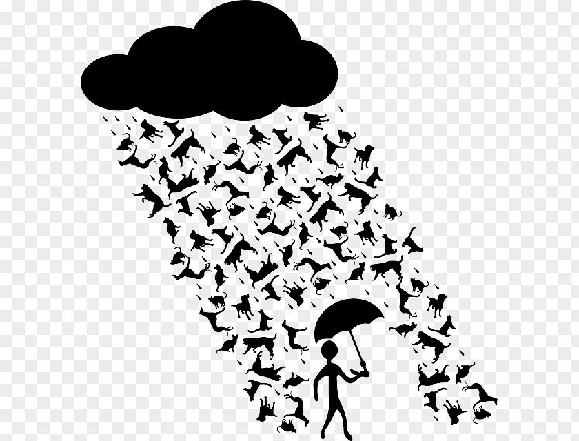 Dog Cats & Dogs Rain Mouse PNG