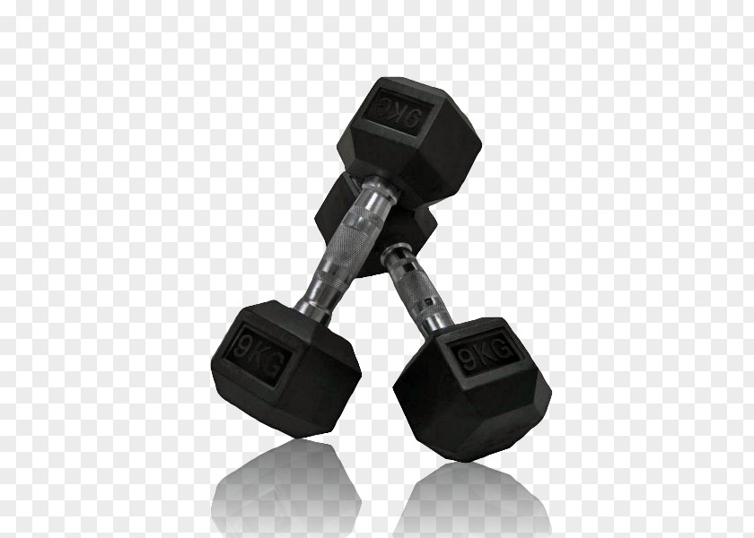Dumbbells Dumbbell Icon PNG