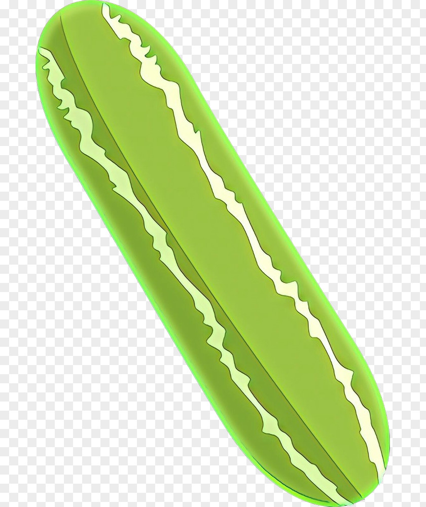 Green Plant PNG
