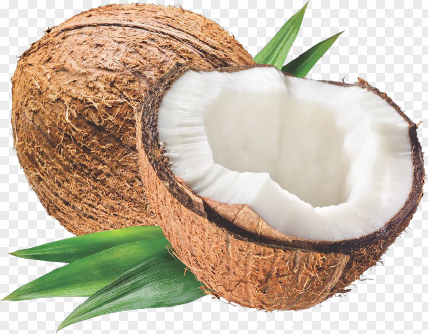 Coconut Oil Carrier Milk Cream PNG