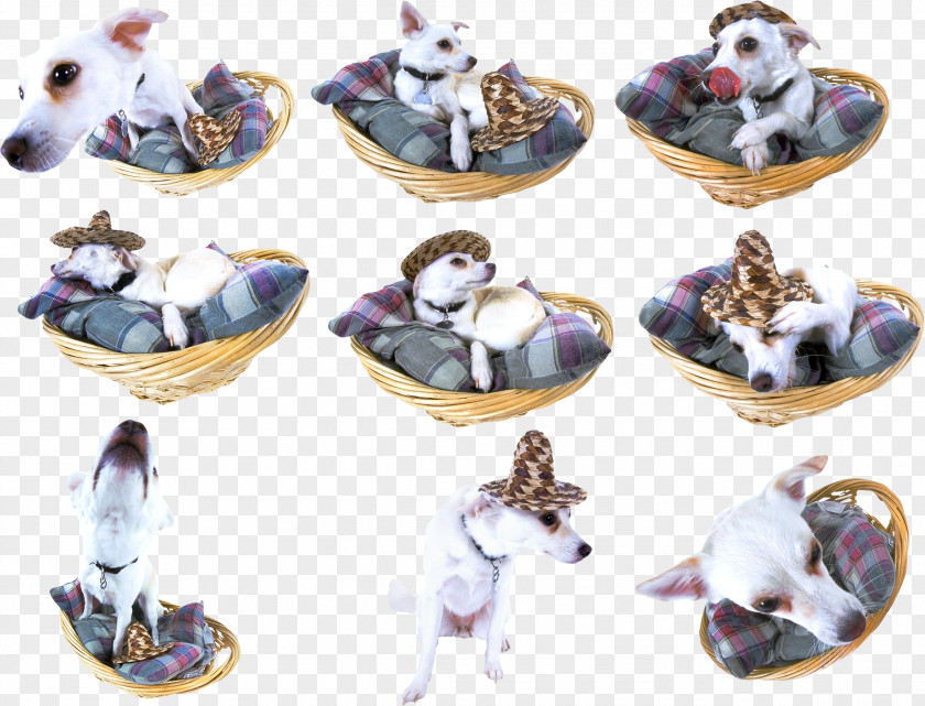 Dog Food Puppy Kennel Clip Art PNG