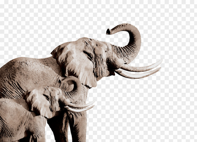 Stock Photography Working Animal Indian Elephant PNG