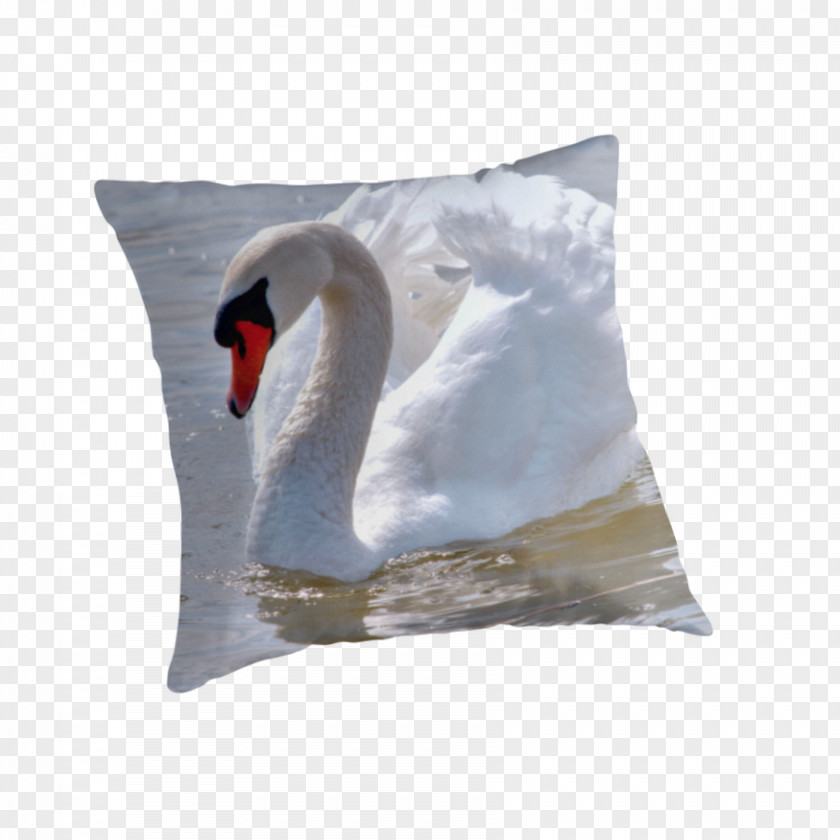 Swan Lake Cygnini Throw Pillows Cushion Beak PNG