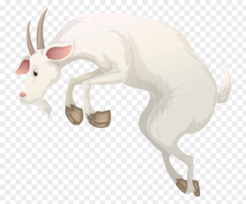 White Goat Cattle Alpine Ibex Illustration PNG