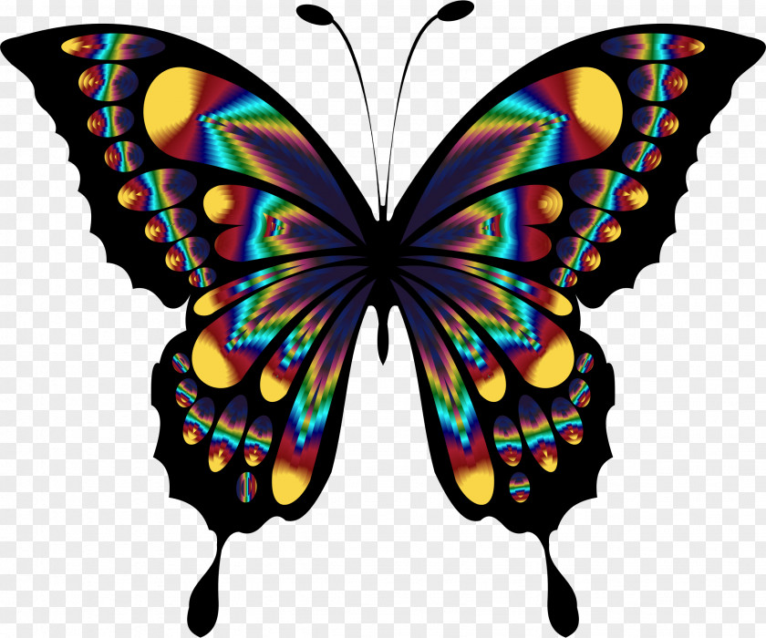 Butterflies Butterfly Insect Blue Desktop Wallpaper Clip Art PNG