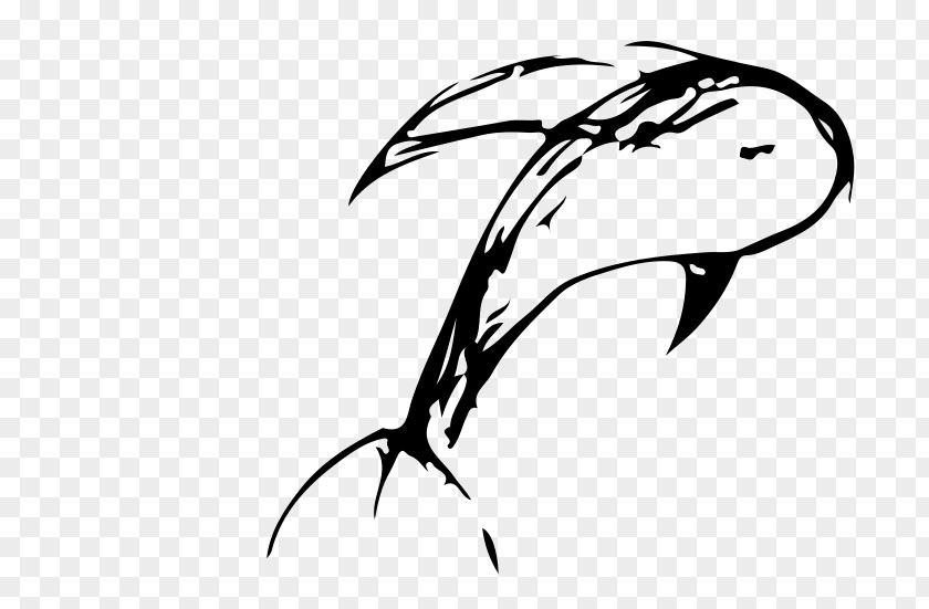 Freehand Lines Dolphin Clip Art PNG