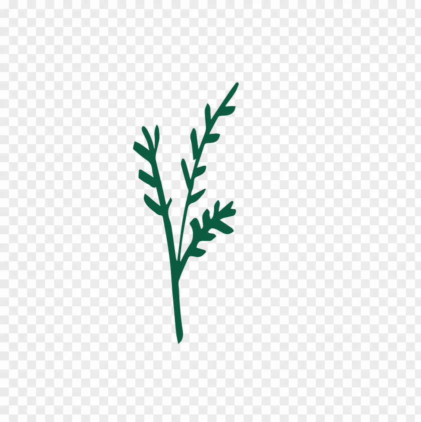 Leaf Twig Logo Plant Stem Font PNG