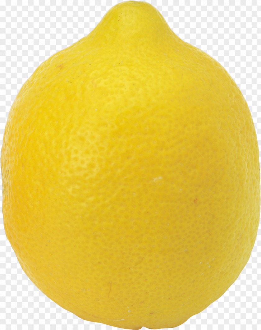 Lemon Sweet Clementine Tangelo Citrus Junos PNG
