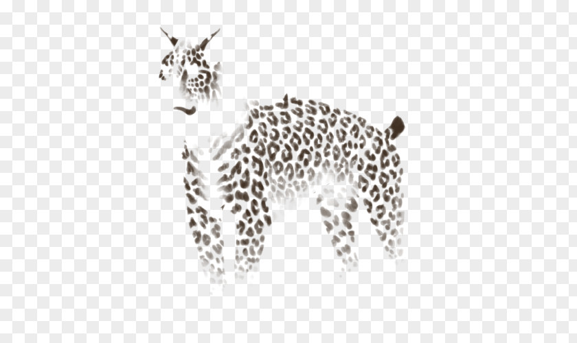 Leopard Cheetah Jaguar Lion Cat PNG