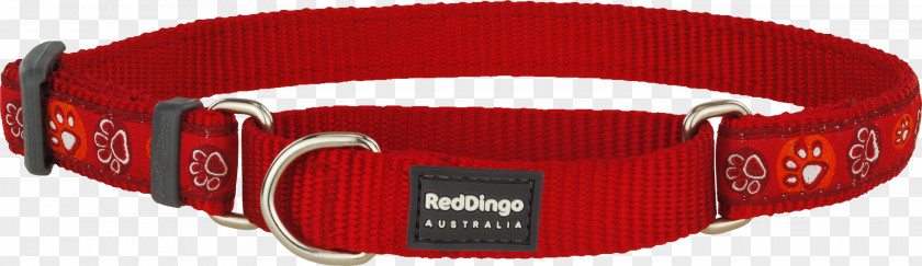 Red Collar Dog Dingo Martingale Strap PNG