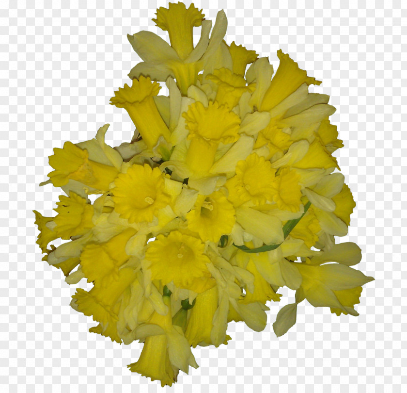 YELLOW Cut Flowers Chrysanthemum Wedding Yellow PNG