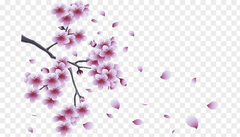 Flower Desktop Wallpaper Blossom Clip Art PNG