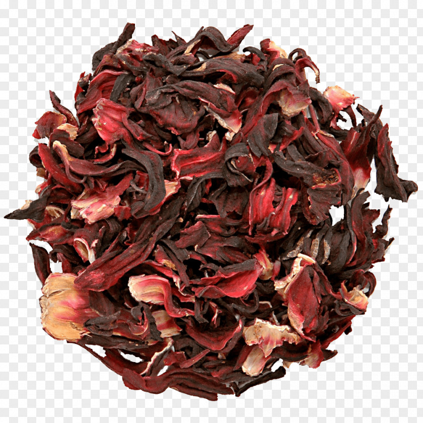 Tea Hibiscus Roselle Flowering PNG