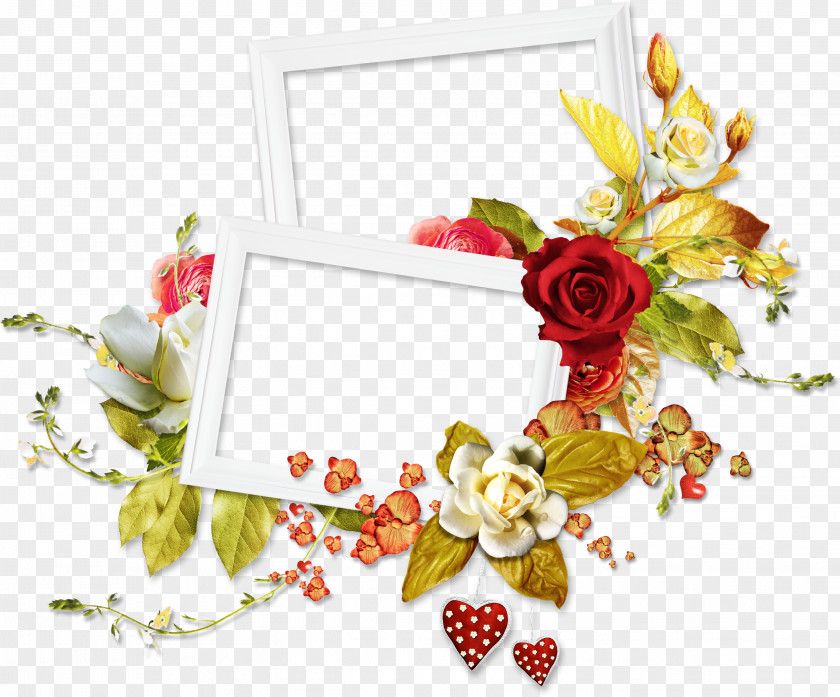 Frame Picture Frames Flower Bouquet Image PNG