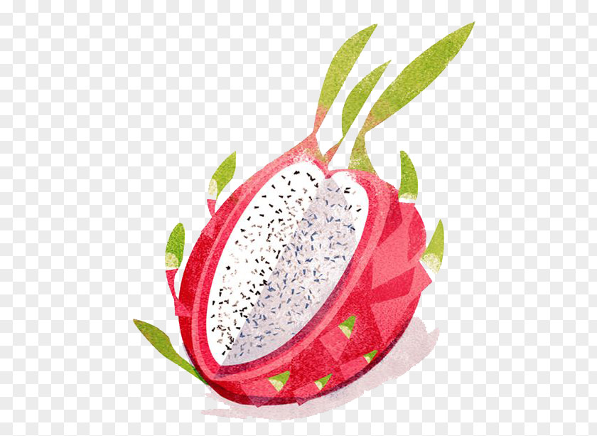 Hand-painted Dragon Fruit Strawberry Pitaya Vegetable Illustration PNG
