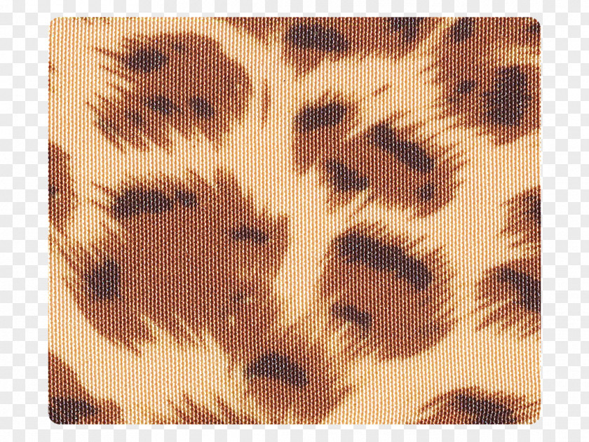 Silk Material Fur PNG