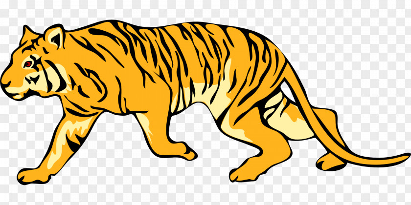 Tigers Clipart Felidae Bengal Tiger White Clip Art PNG
