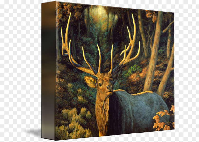 Autumn Forest Elk IPhone 7 Moose Antler Stock Photography PNG