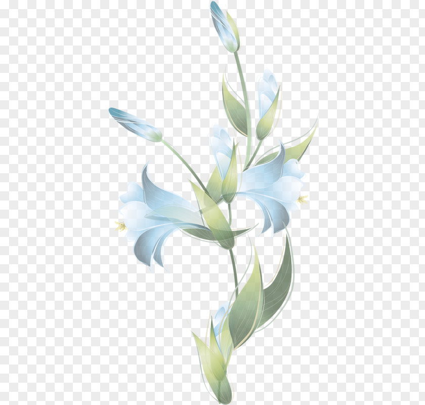 Page Curls Floral Design Cut Flowers Lilium Desktop Wallpaper PNG