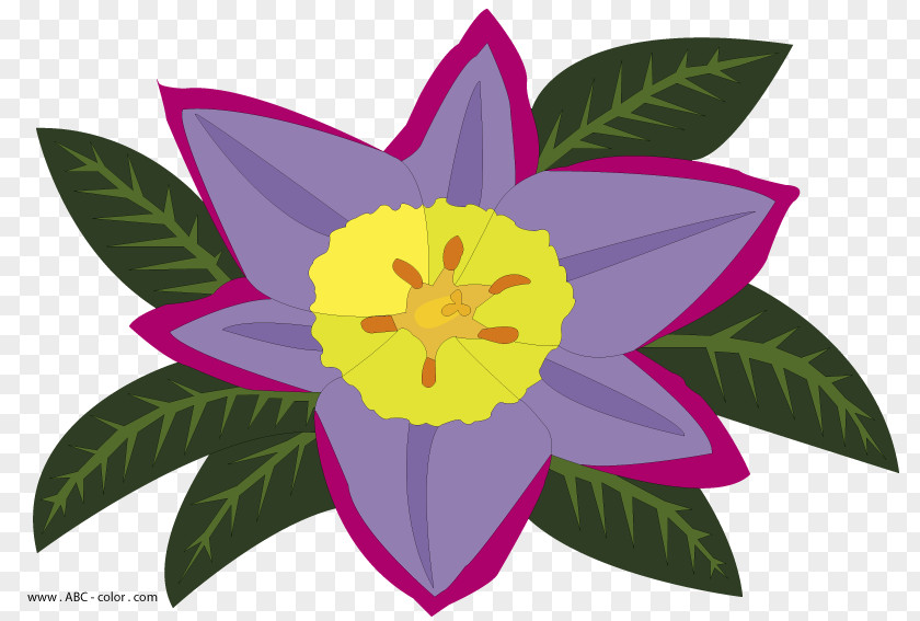 Raster Flower Clip Art Graphics Petal Creative Commons License PNG