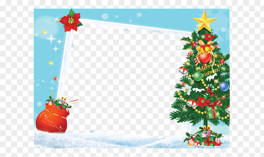 Tarjeta Picture Frames Christmas Tree Photography Gift PNG