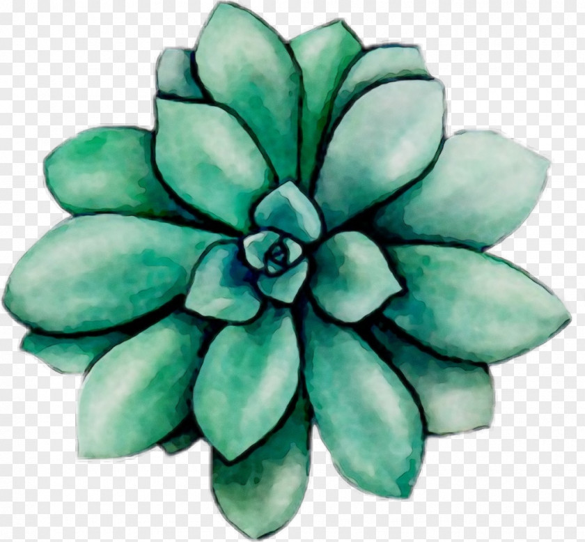 Flowering Plant Leaf Green Flower Turquoise Teal PNG