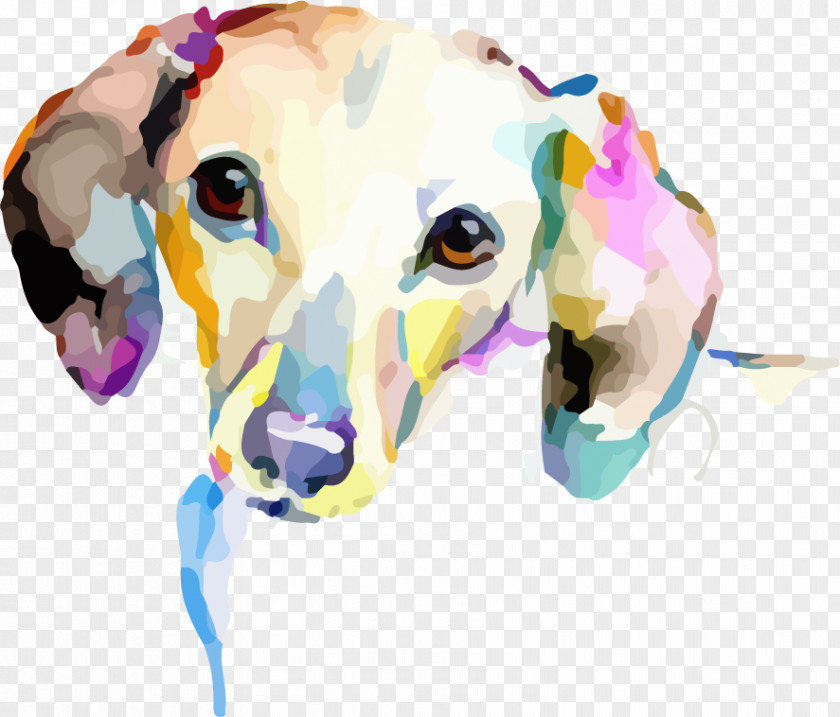 Hound Greyhound Watercolor Drawing PNG