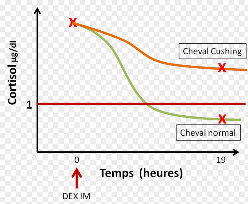 Line Angle Point Diagram PNG