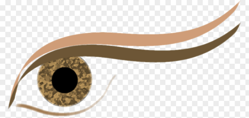 Right Eye Blue Iris Brown Orange PNG