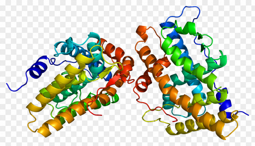 Selective Progesterone Receptor Modulator Androgen PNG