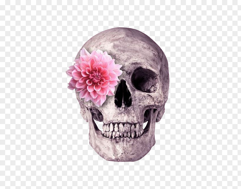 Flowers Skeleton Head Skull Flower Printing PNG