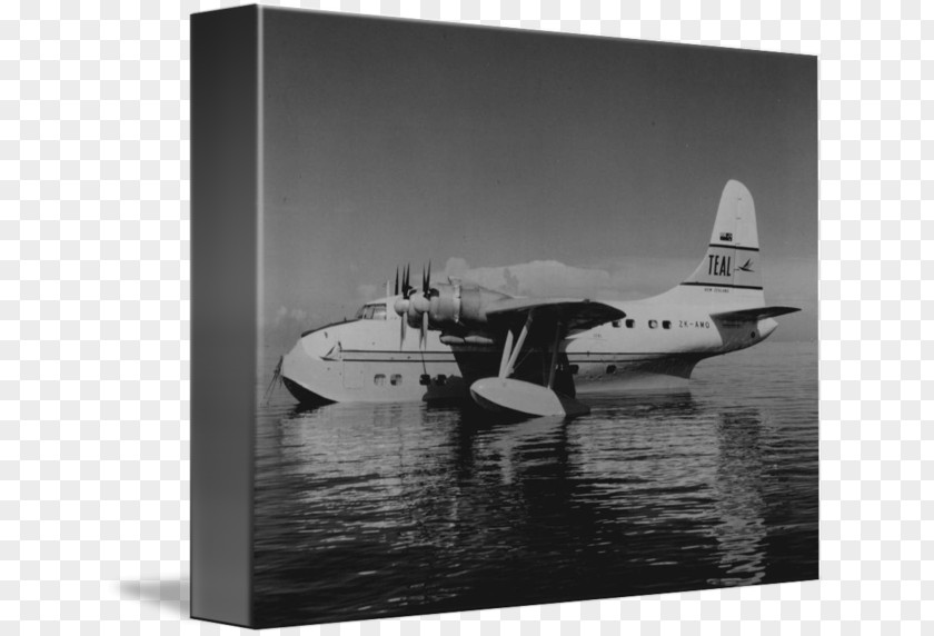 Flying Boat Seaplane Aviation White Propeller PNG