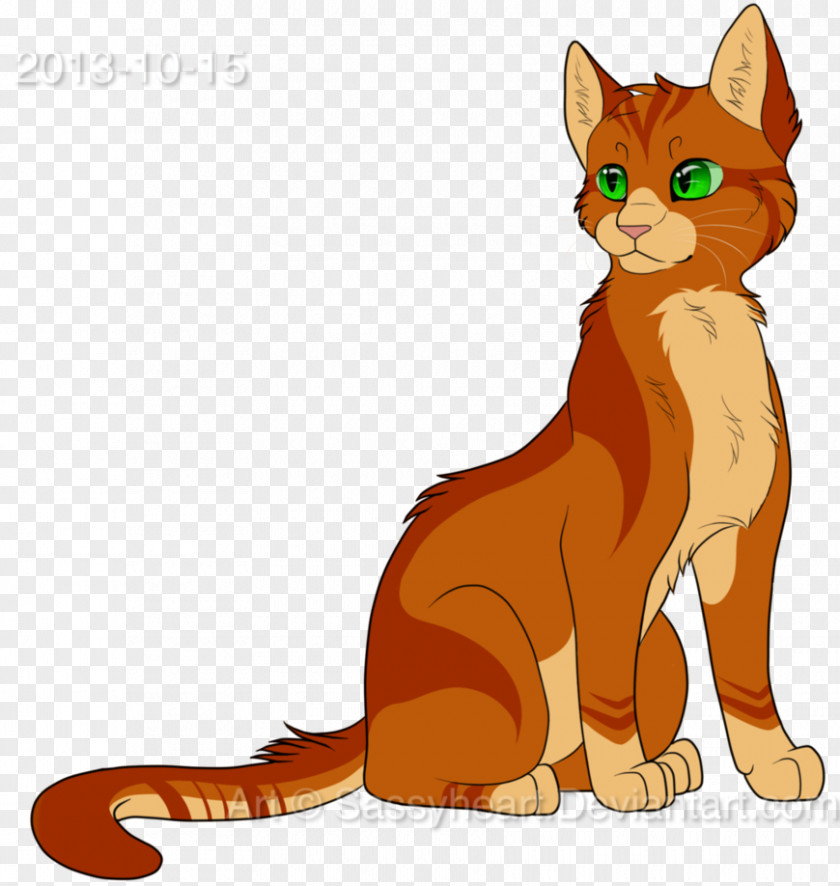 Kitten Whiskers Cat Into The Wild Firestar PNG