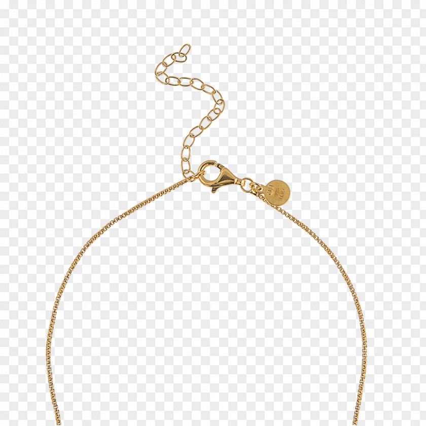 Necklace Bracelet Jewellery Gold Silver PNG