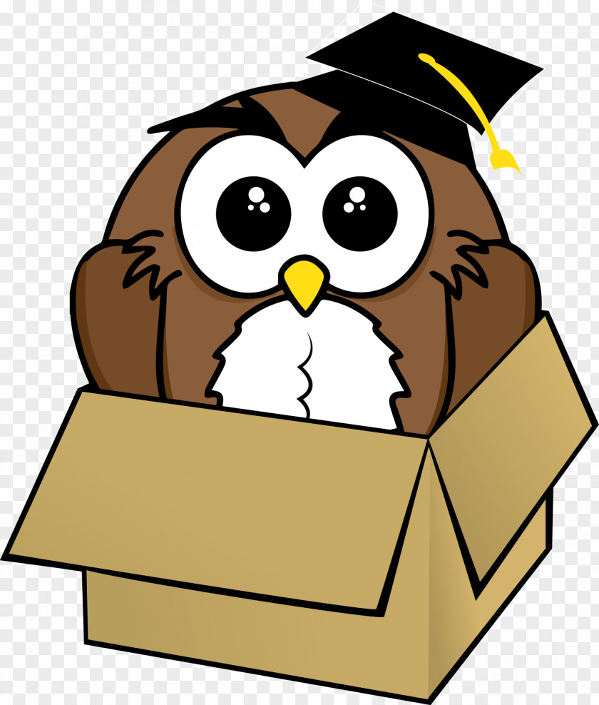 Owl Drawing Image Cartoon Bird PNG