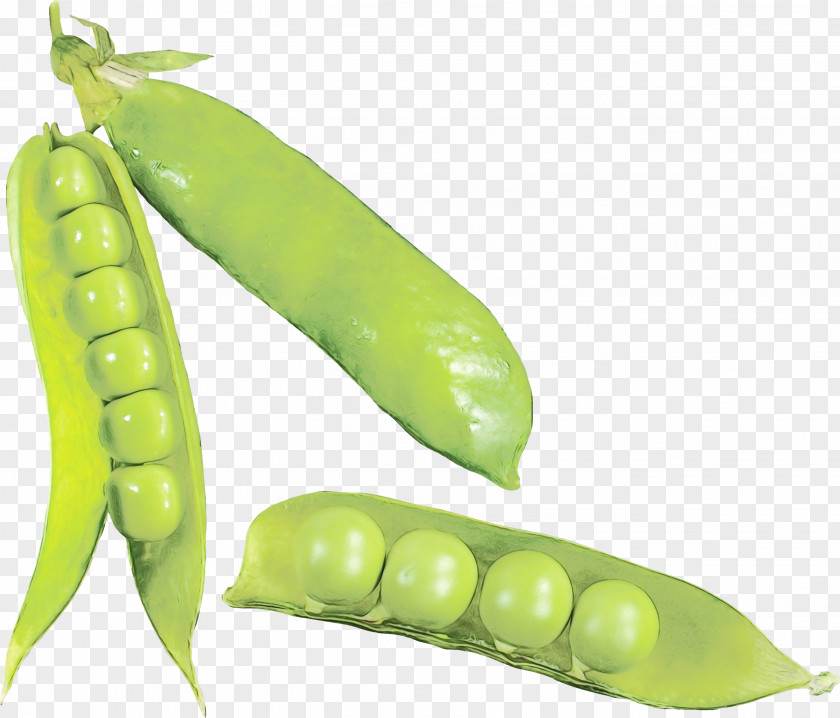 Pigeon Pea Fruit Legume Snap Snow Peas Plant PNG