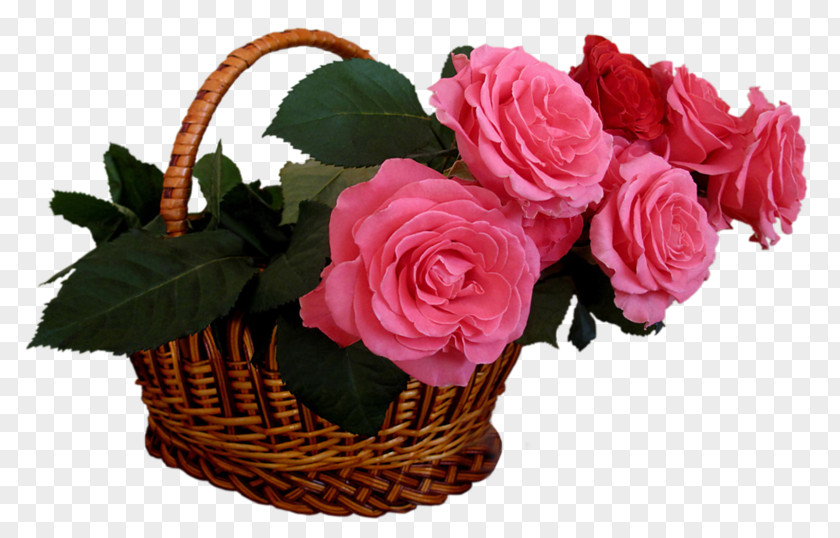 Buket Garden Roses Flower Bouquet Pink PNG