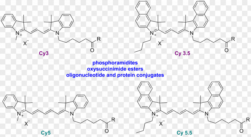 Cyanine Fluorescence Dye HOMO/LUMO Conjugated System PNG