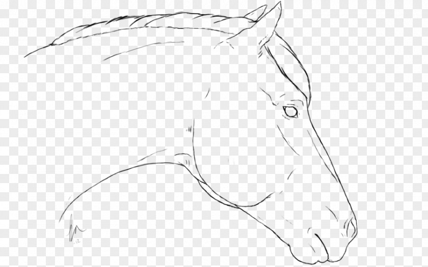 Drawing Mustang Line Art Sketch PNG