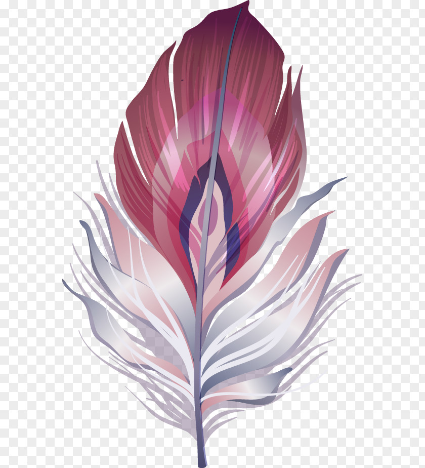 Exquisite Color Feather Brazilian Carnival Mask Clip Art PNG
