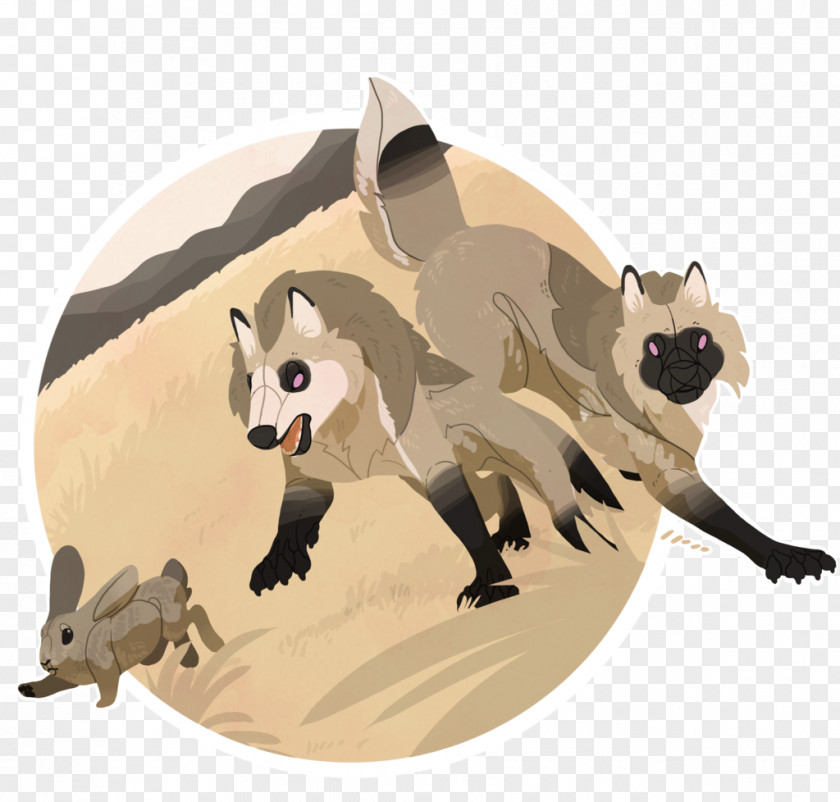 Raccoon Cat Dog Canidae PNG
