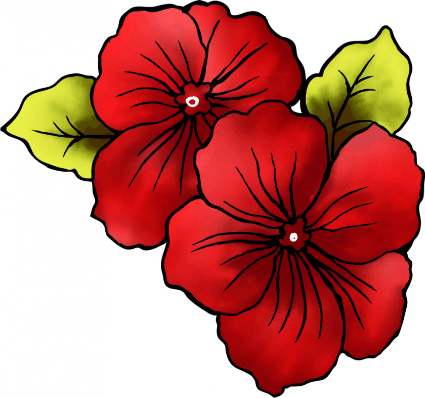 Red Flowers Petal Flower Poppy PNG