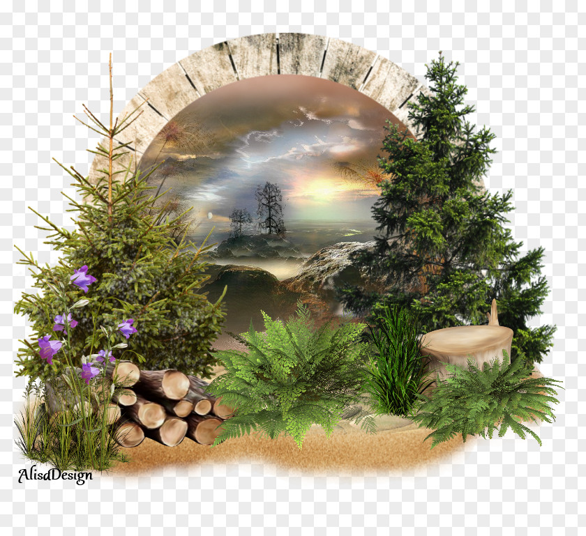 Christmas Tree Ornament Fir Evergreen PNG