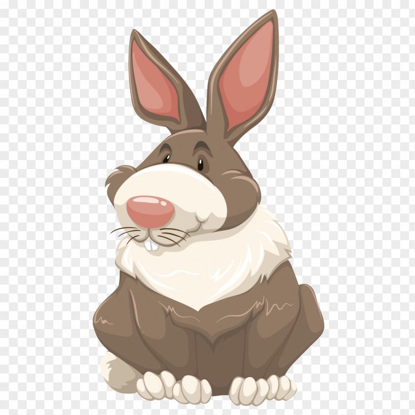 Cute Bunny Rabbit Stock Photography Clip Art PNG